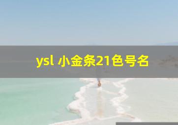 ysl 小金条21色号名